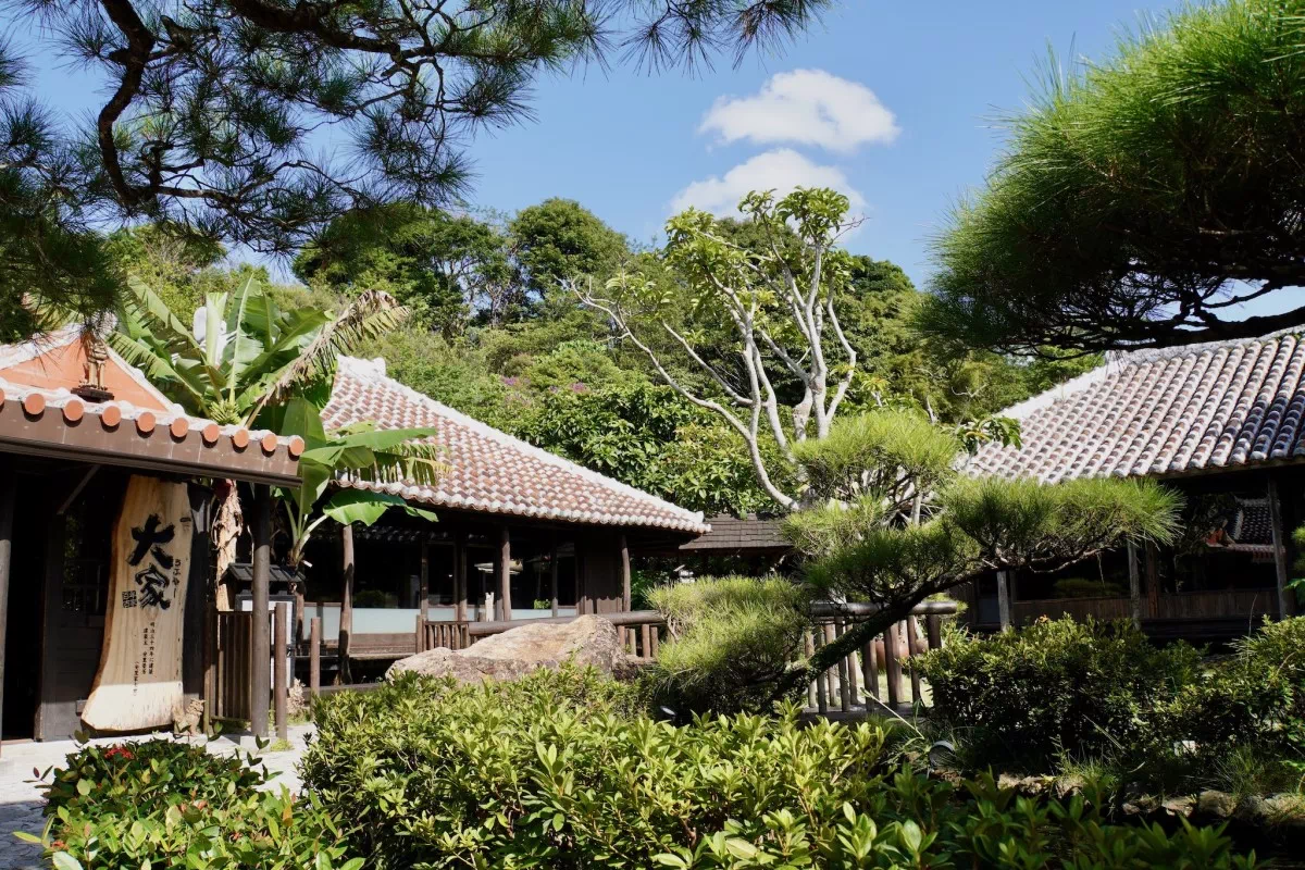 フクギ並木に囲まれた今帰仁そばの外観